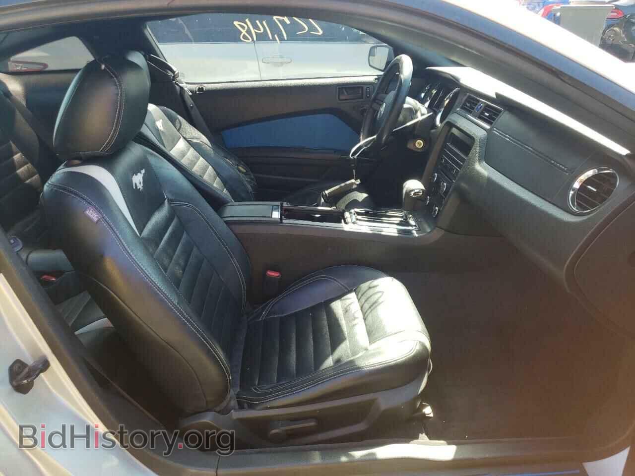 2011 FORD MUSTANG - VIN: 1ZVBP8AM6B5103995 - Фото 5