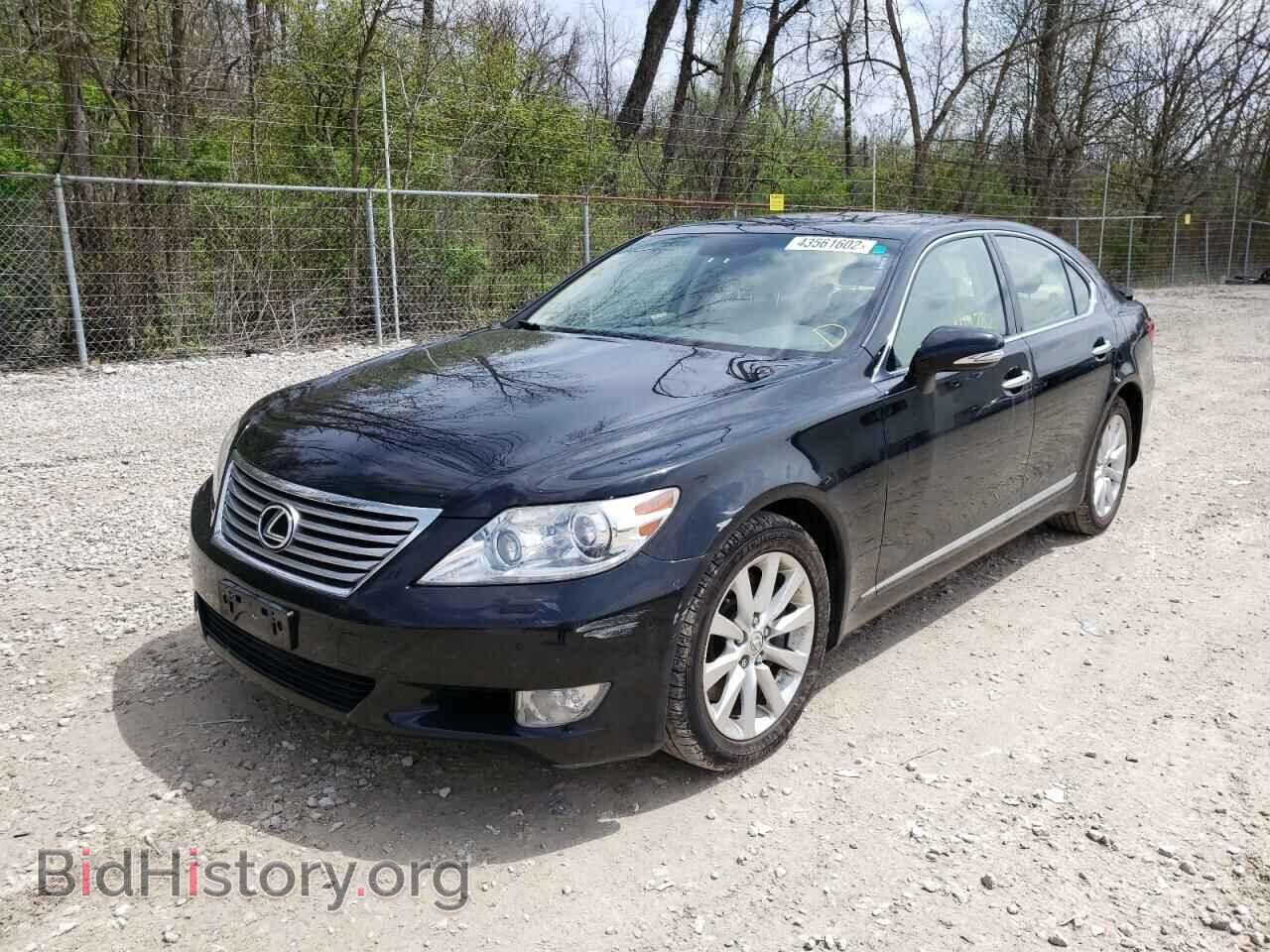 2011 LEXUS LS460 - VIN: JTHCL5EF5B5009392 - Фото 2