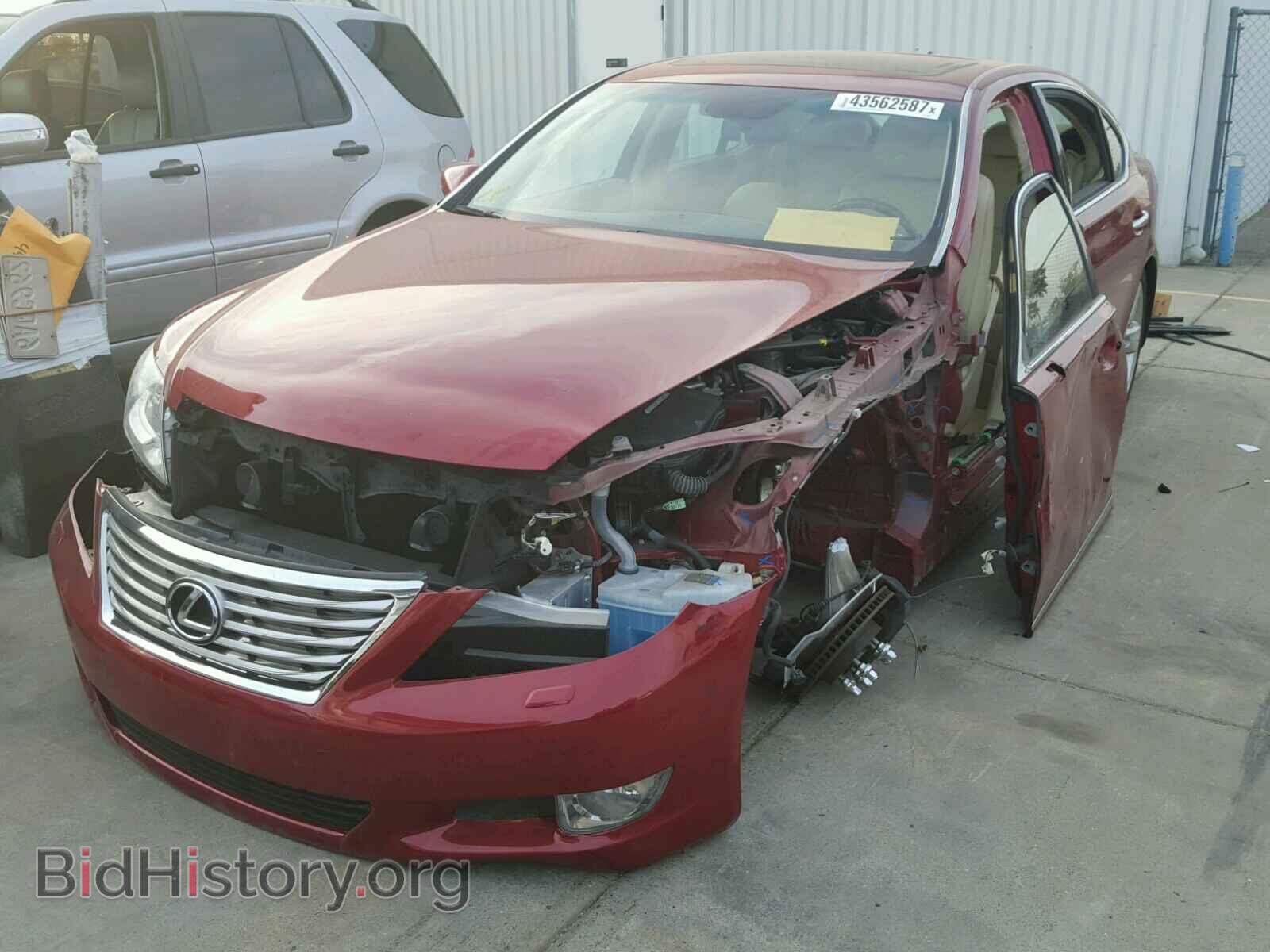 2010 LEXUS LS460 - VIN: JTHBL5EF7A5097873 - Фото 2