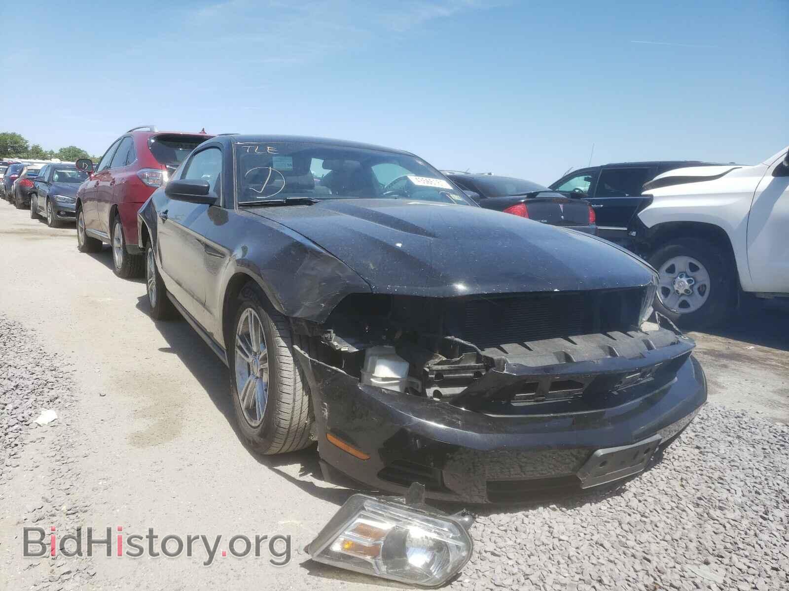 Фотография 1ZVBP8AM1C5243888 - FORD MUSTANG 2012