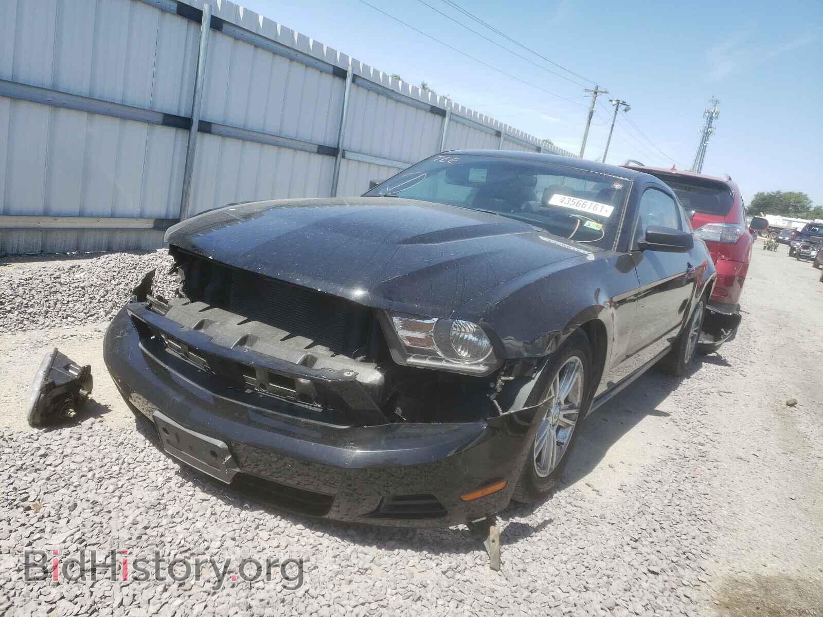 2012 FORD MUSTANG - VIN: 1ZVBP8AM1C5243888 - Фото 2