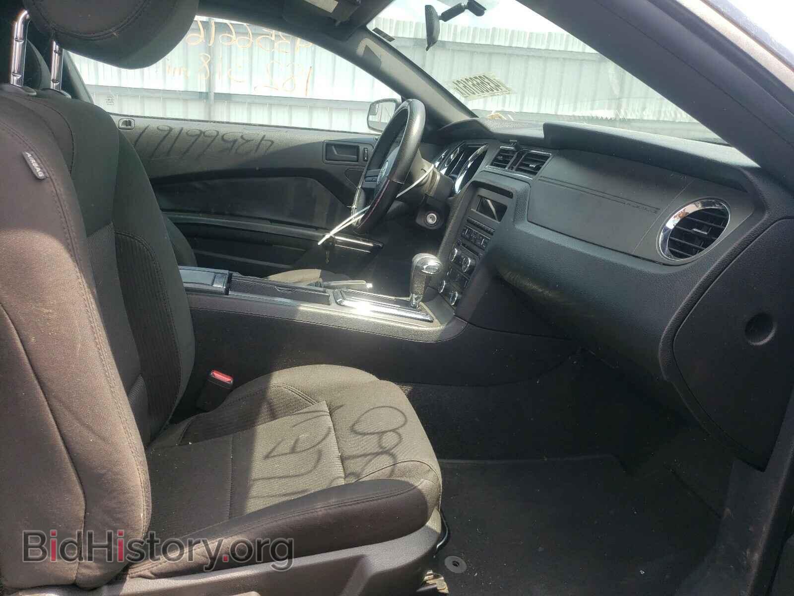 2012 FORD MUSTANG - VIN: 1ZVBP8AM1C5243888 - Фото 5