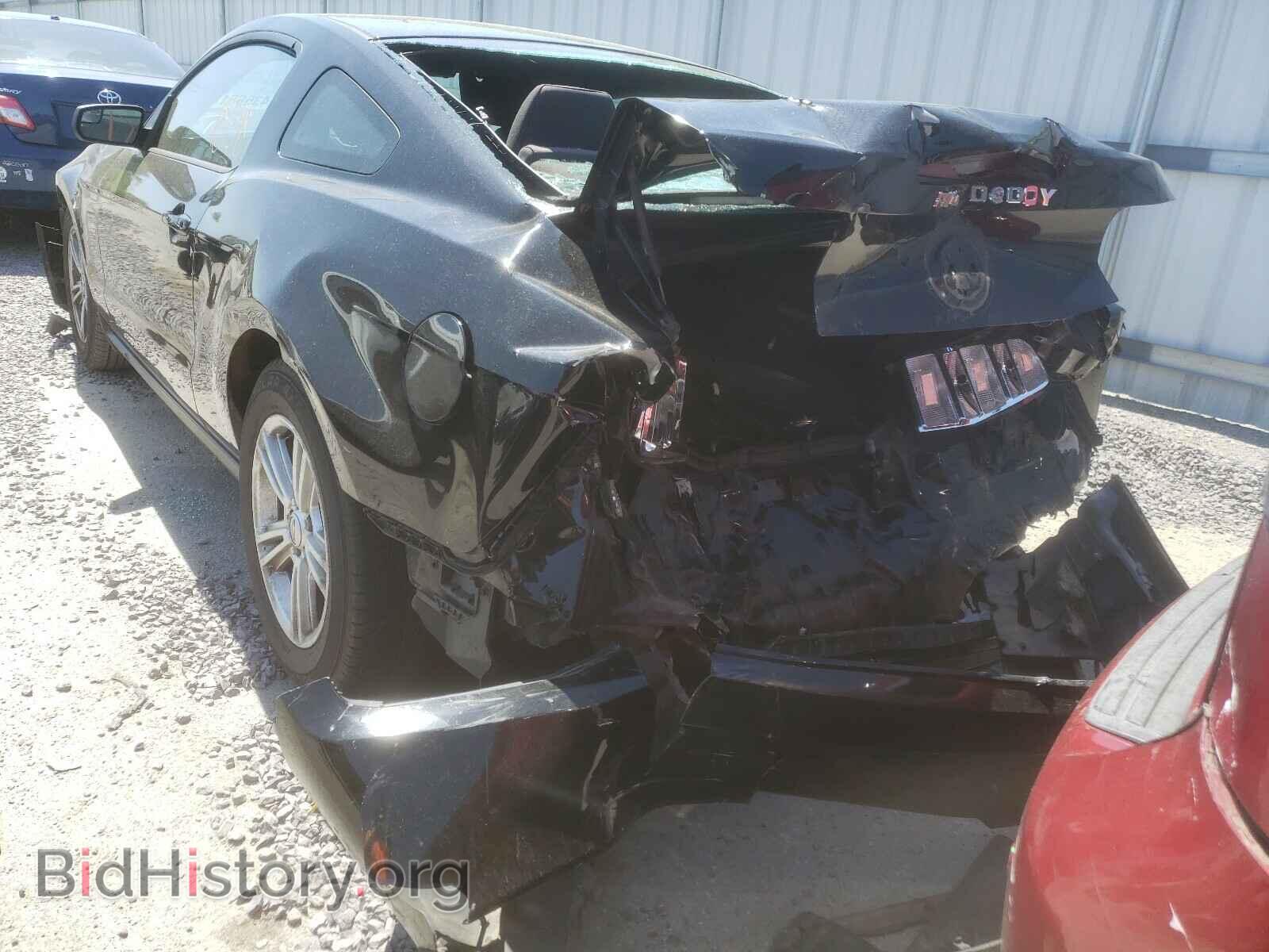 2012 FORD MUSTANG - VIN: 1ZVBP8AM1C5243888 - Фото 9