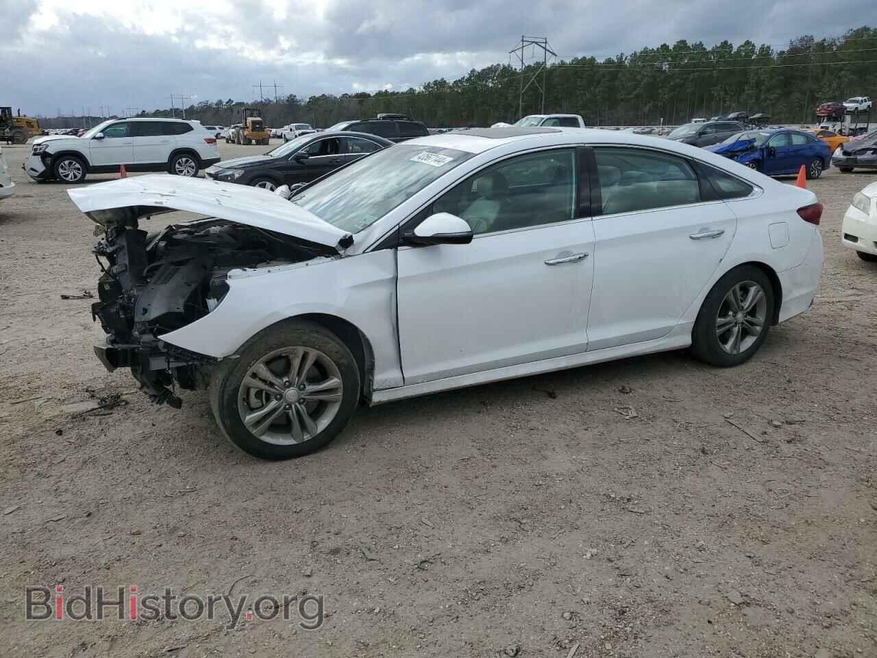Photo 5NPE34AF6KH769468 - HYUNDAI SONATA 2019