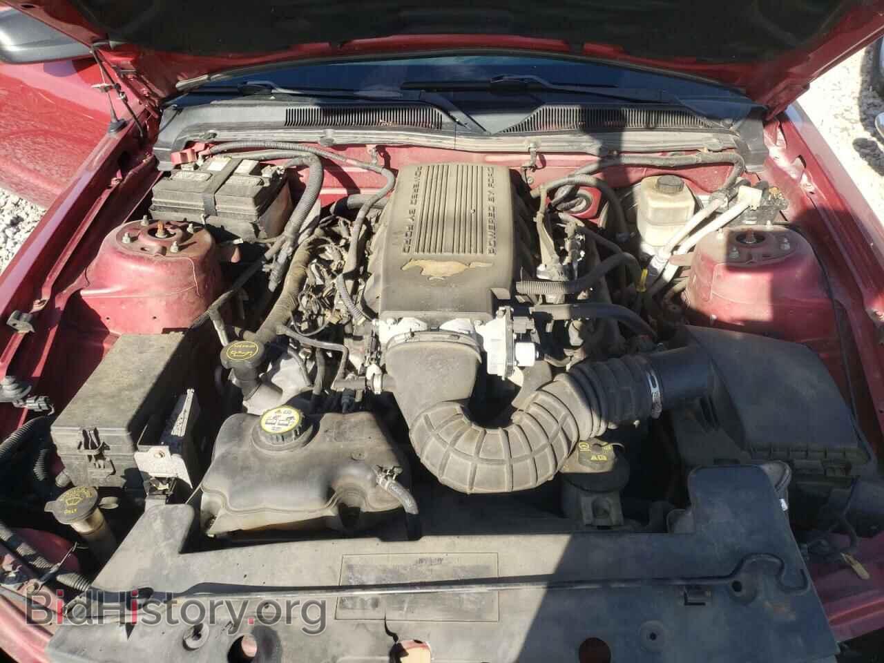 2007 FORD MUSTANG - VIN: 1ZVFT85H875321017 - Фото 7