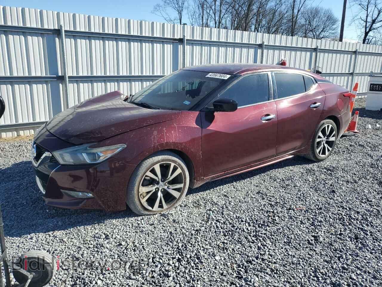 Photo 1N4AA6AP4HC374191 - NISSAN MAXIMA 2017