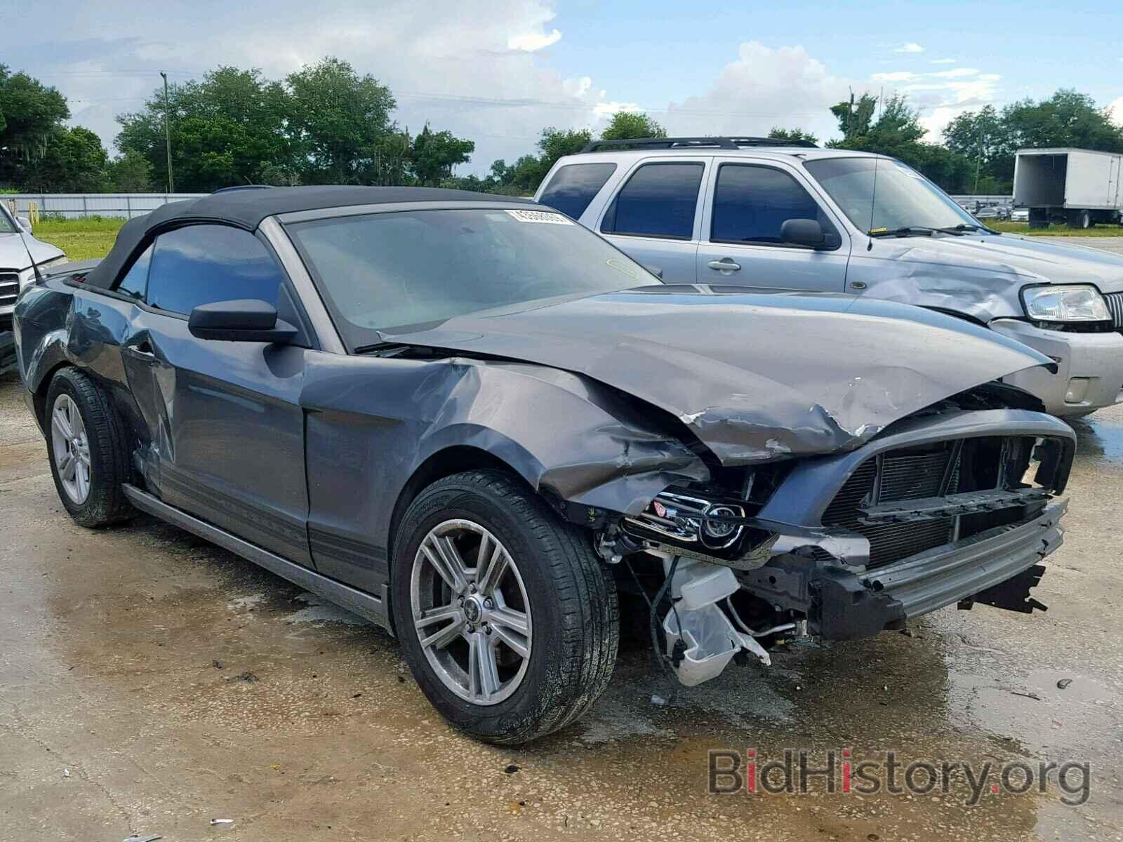 Photo 1ZVBP8EM8D5214304 - FORD MUSTANG 2013