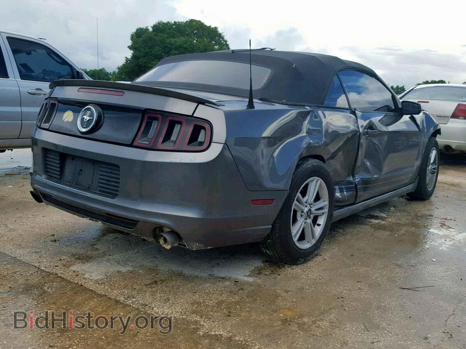 2013 FORD MUSTANG - VIN: 1ZVBP8EM8D5214304 - Фото 4