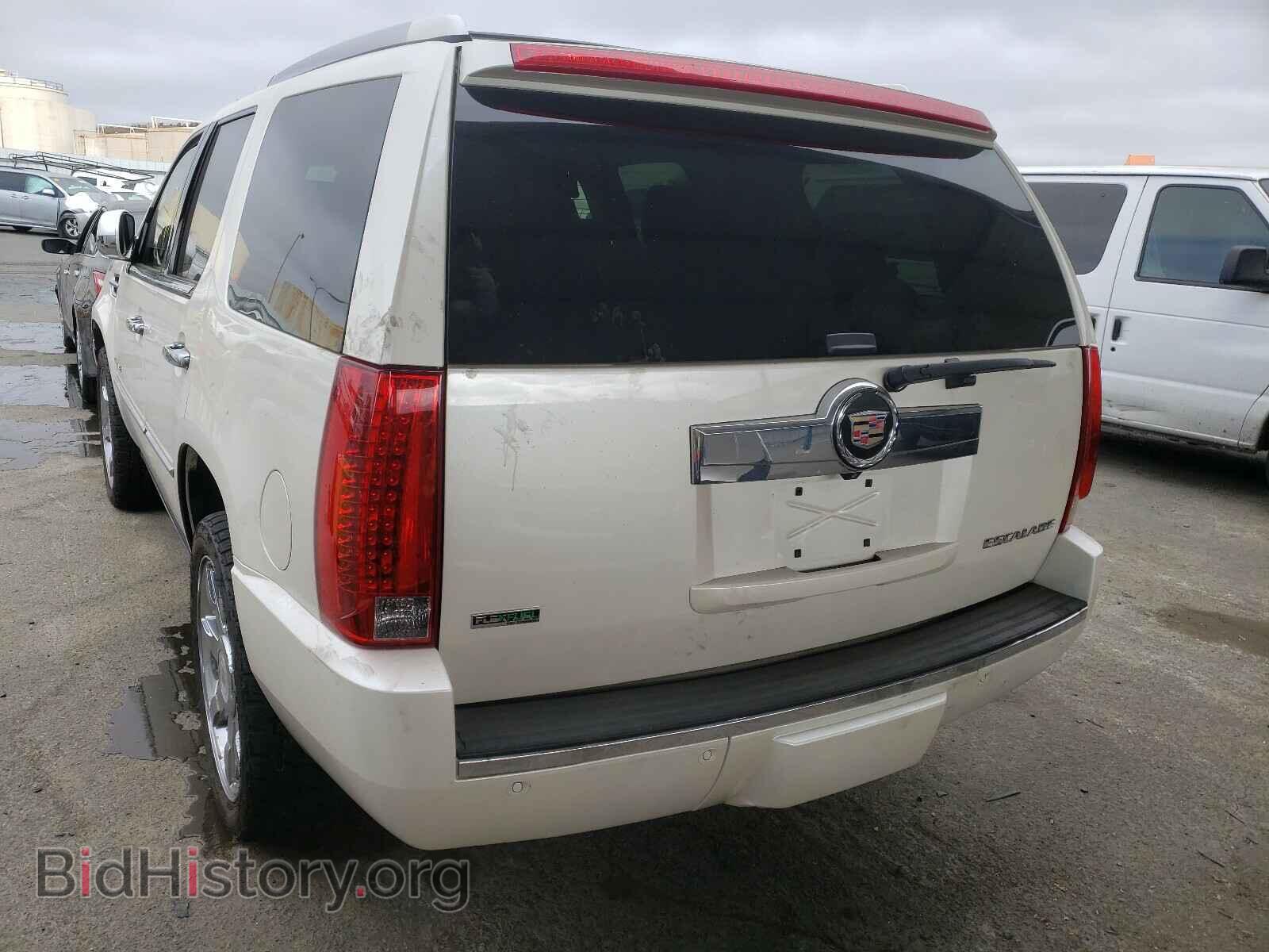 2011 CADILLAC ESCALADE - VIN: 1GYS3CEF7BR128274 - Фото 3
