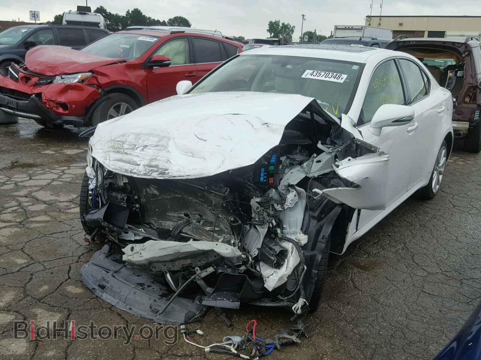 2010 LEXUS IS 250 - VIN: JTHCF5C29A5042904 - Фото 2