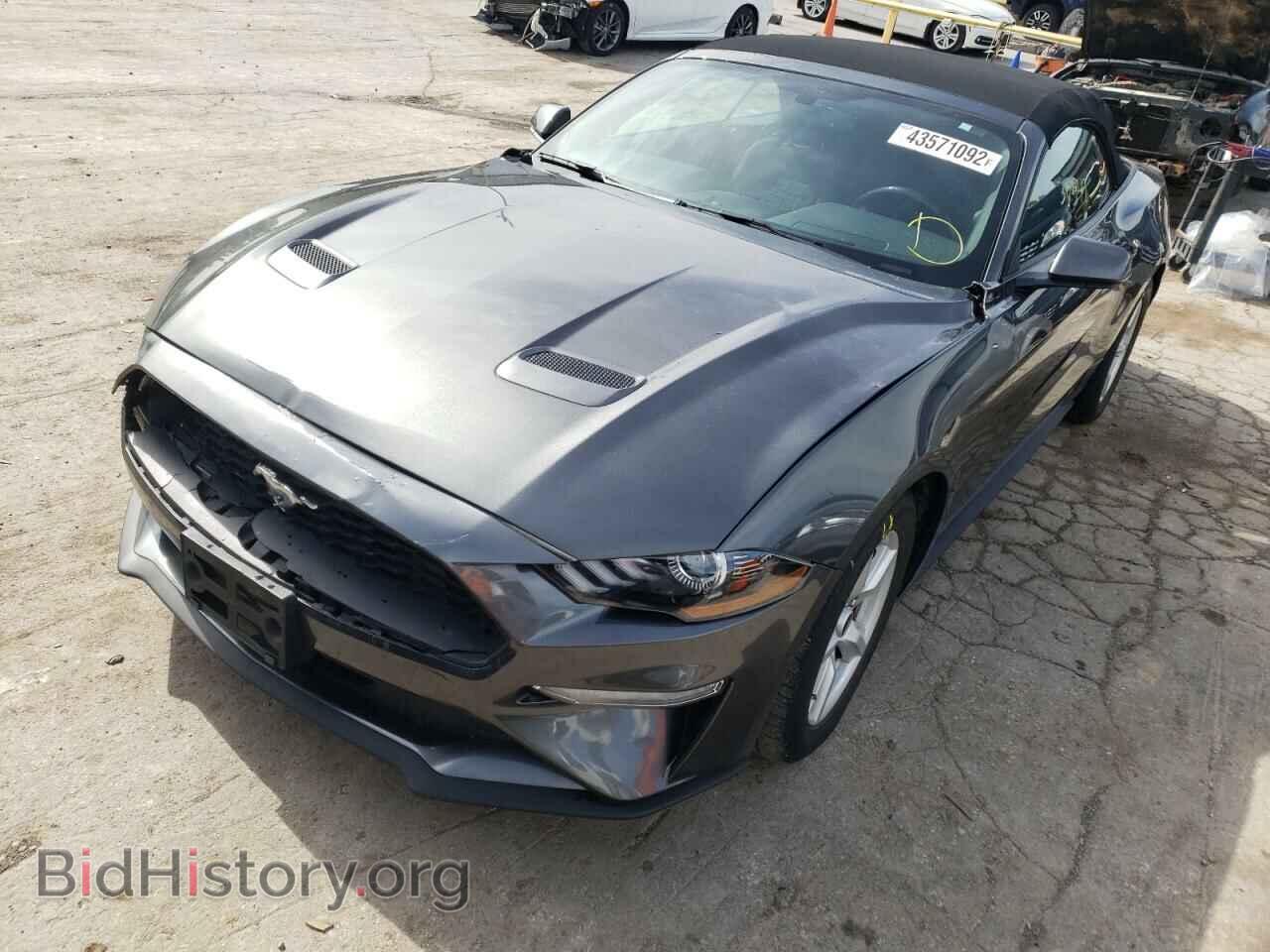 2019 FORD MUSTANG - VIN: 1FATP8UH6K5158832 - Фото 2