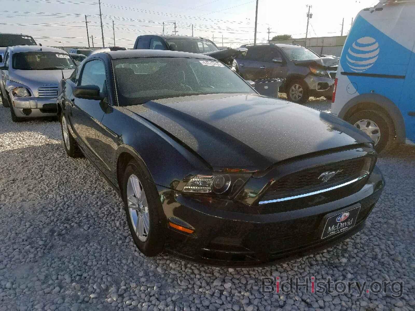 Photo 1ZVBP8AM0D5209376 - FORD MUSTANG 2013