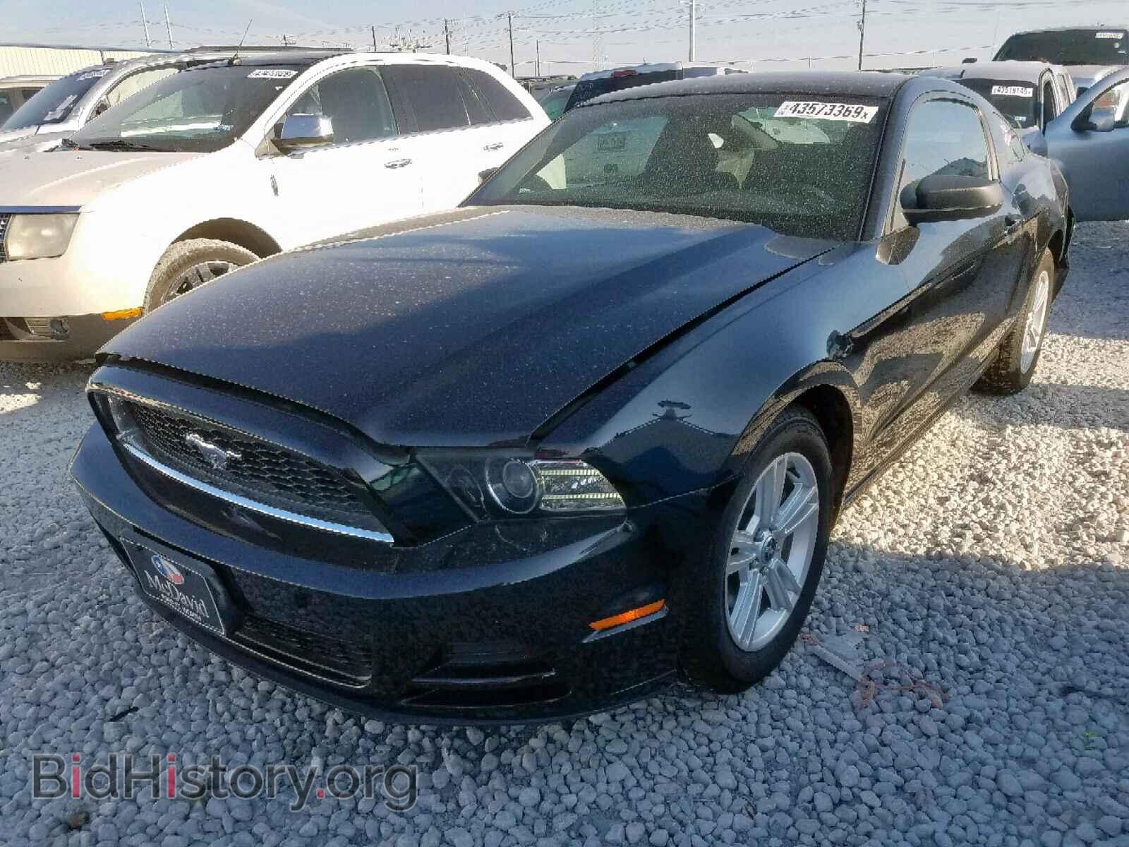 2013 FORD MUSTANG - VIN: 1ZVBP8AM0D5209376 - Фото 2