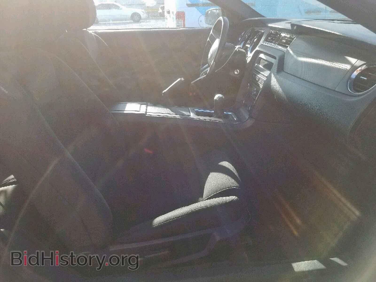 2013 FORD MUSTANG - VIN: 1ZVBP8AM0D5209376 - Фото 5