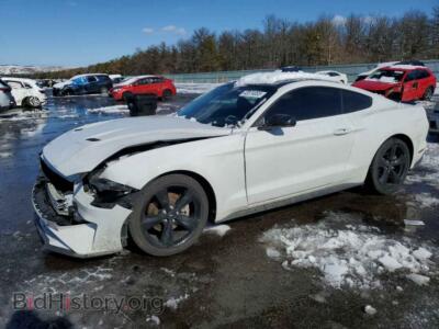 2022 Ford ALL MODELS, белый — VIN 1FA6P8TH3N5136628, Copart