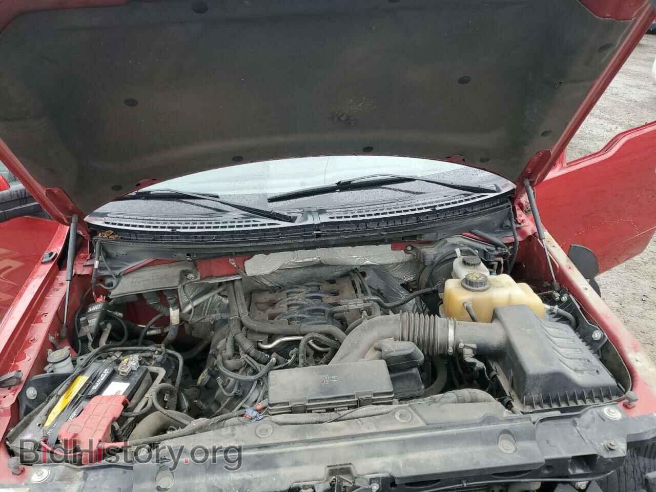 2011 FORD F-150 - VIN: 1FTFX1EF4BFA86826 - Фото 11