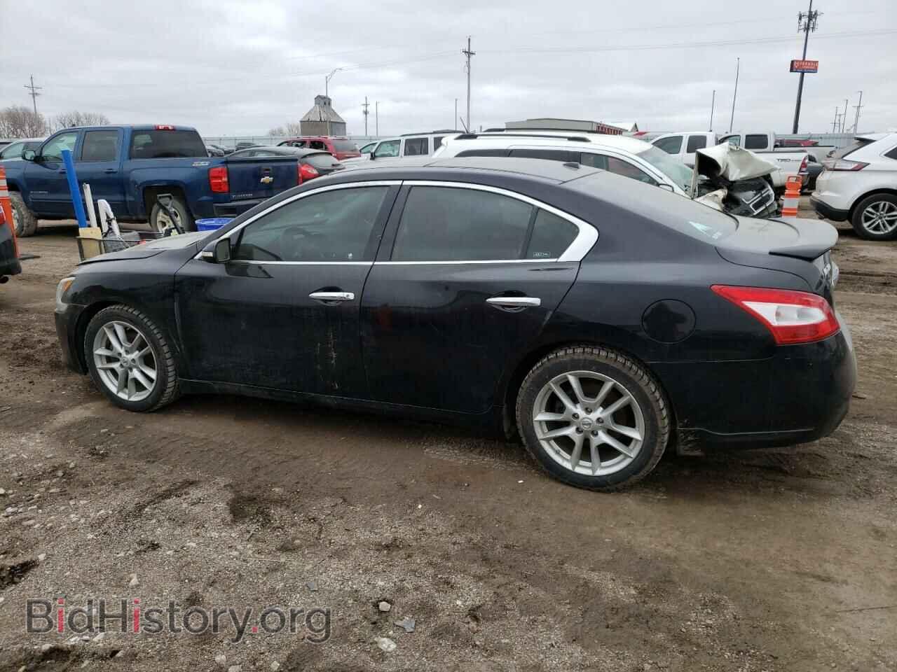 2011 NISSAN MAXIMA - VIN: 1N4AA5AP0BC818216 - Фото 2