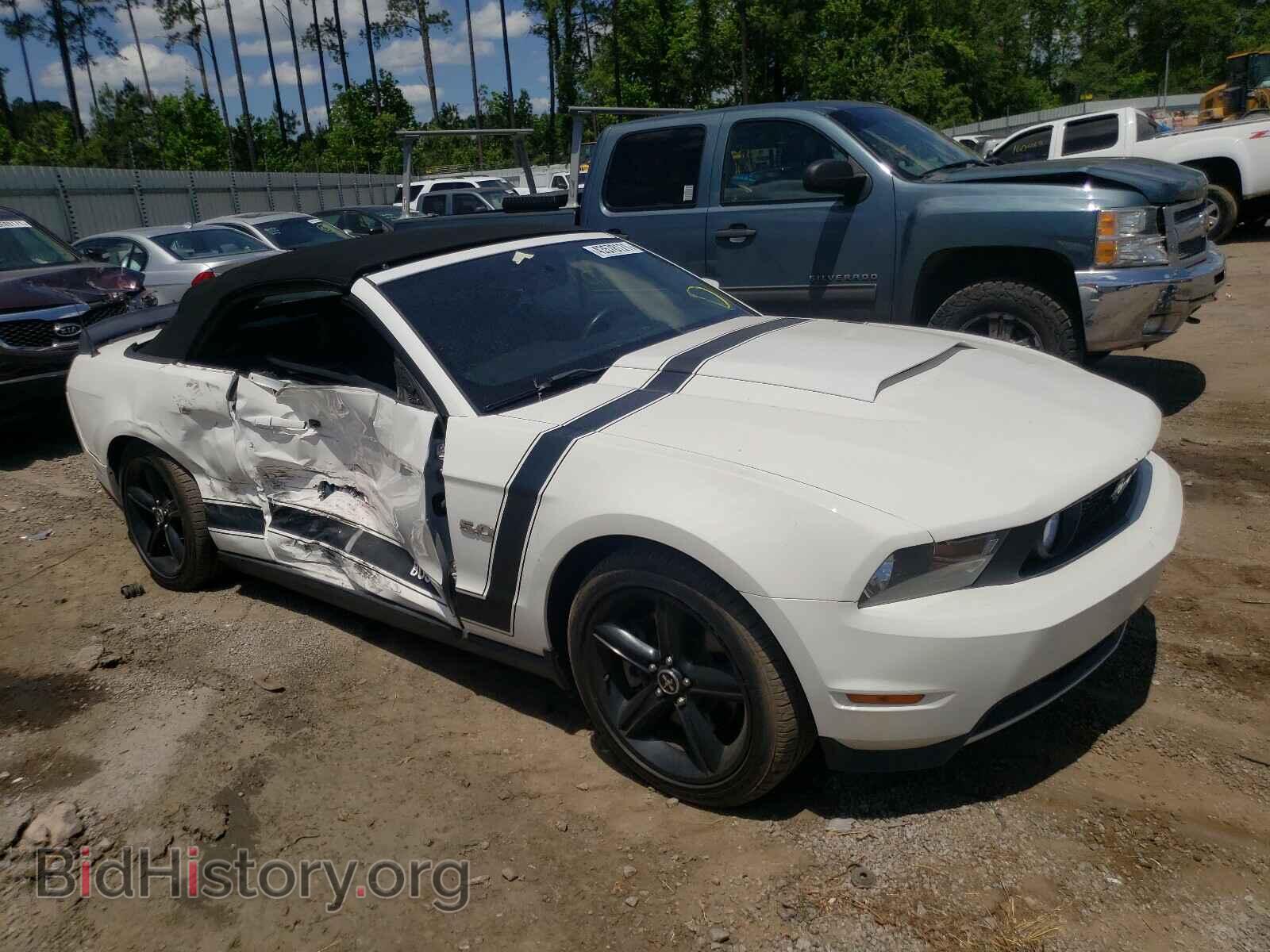 Photo 1ZVBP8FF2C5204852 - FORD MUSTANG 2012