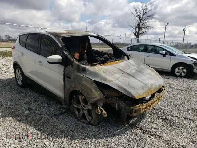Фотография 1FMCU0GX5EUA78712 - FORD ESCAPE 2014