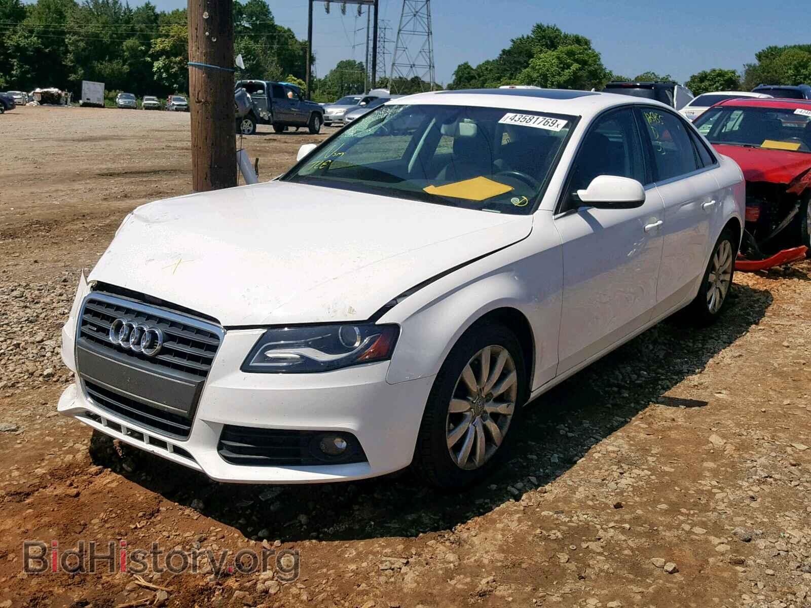 2010 AUDI A4 - VIN: WAUFFAFL3AN036833 - Фото 2