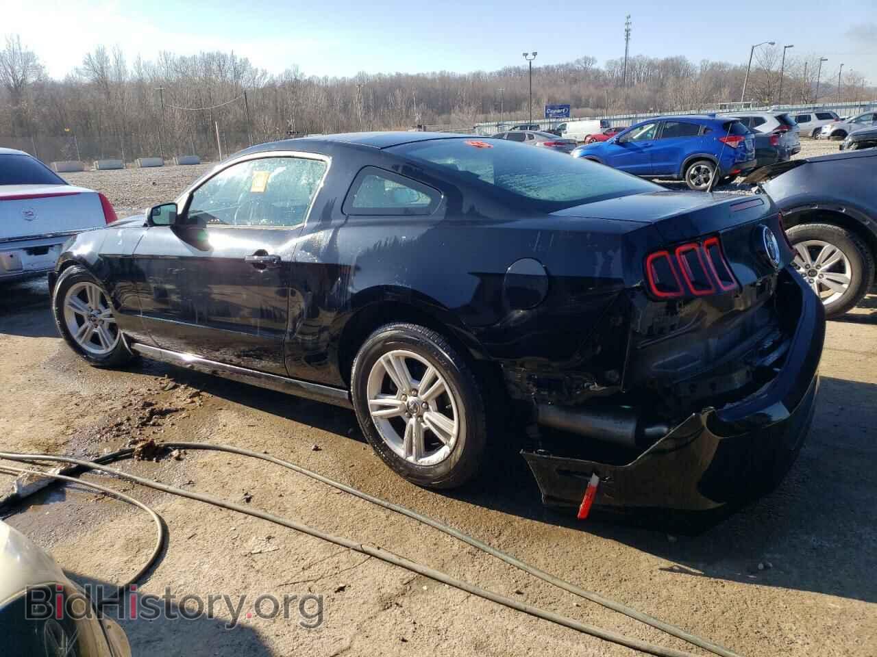 2014 FORD ALL Models - VIN: 1ZVBP8AM9E5290945 - Фото 2