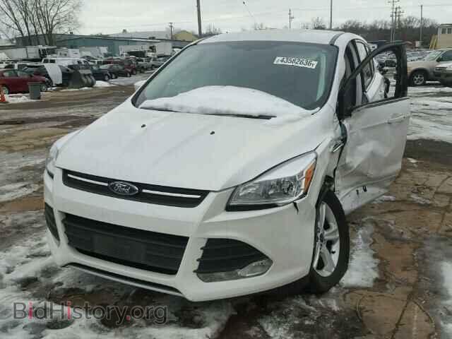 2014 FORD ESCAPE - VIN: 1FMCU9GXXEUD85586 - Фото 2