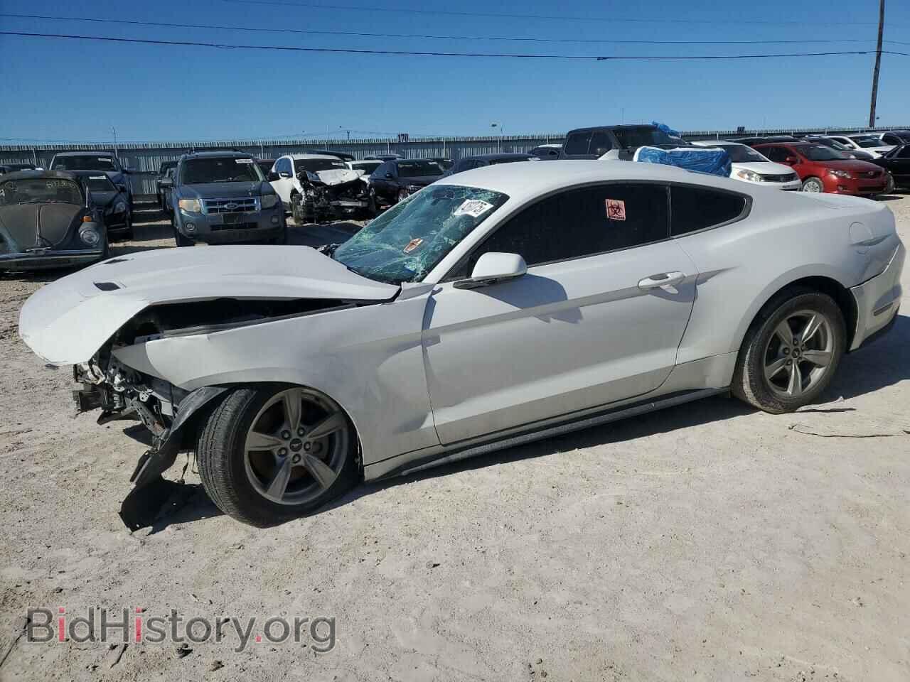 Photo 1FA6P8TH9L5173017 - FORD ALL Models 2020