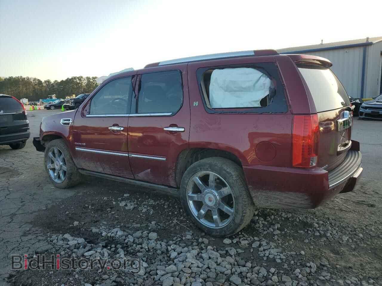2011 CADILLAC ESCALADE - VIN: 1GYS3EEJ9BR161275 - Фото 2
