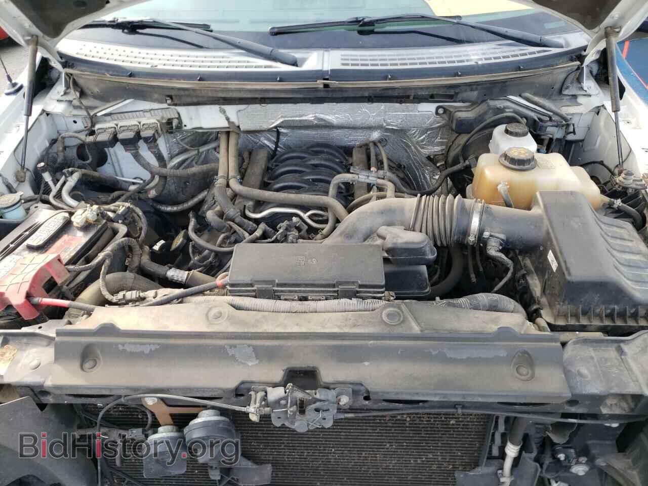 2013 FORD F150 - VIN: 1FTNF1EF2DKE35765 - Фото 7