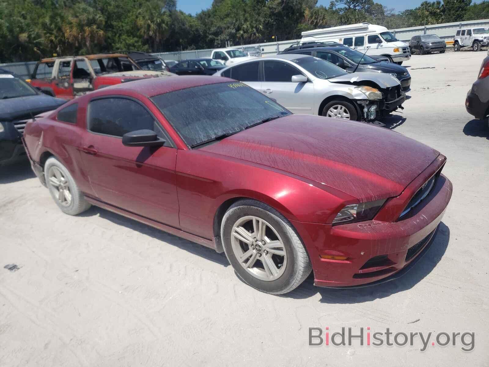 Photo 1ZVBP8AM3E5330985 - FORD MUSTANG 2014