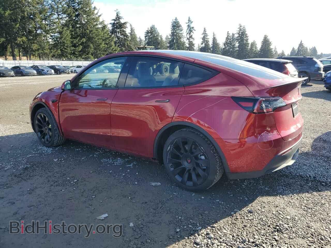 2024 TESLA MODEL Y - VIN: 7SAYGAEE4RF991875 - Photo 2