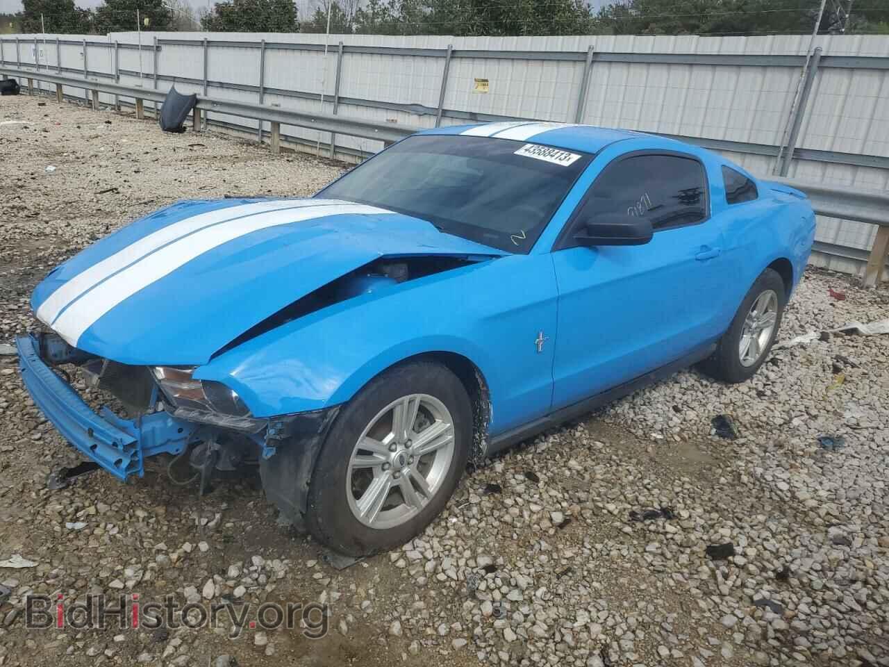 Фотография 1ZVBP8AM9C5267775 - FORD MUSTANG 2012