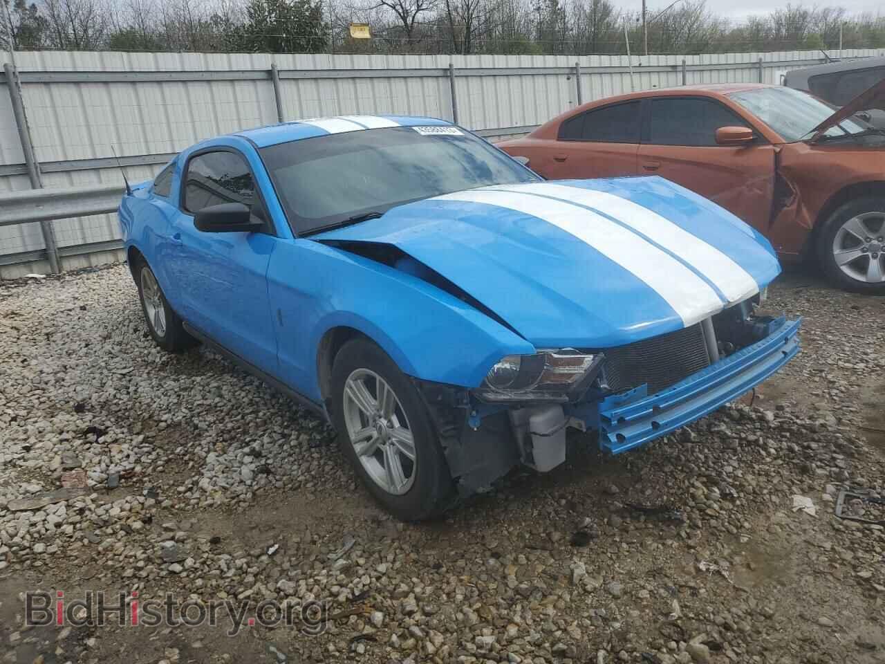 2012 FORD MUSTANG - VIN: 1ZVBP8AM9C5267775 - Фото 4