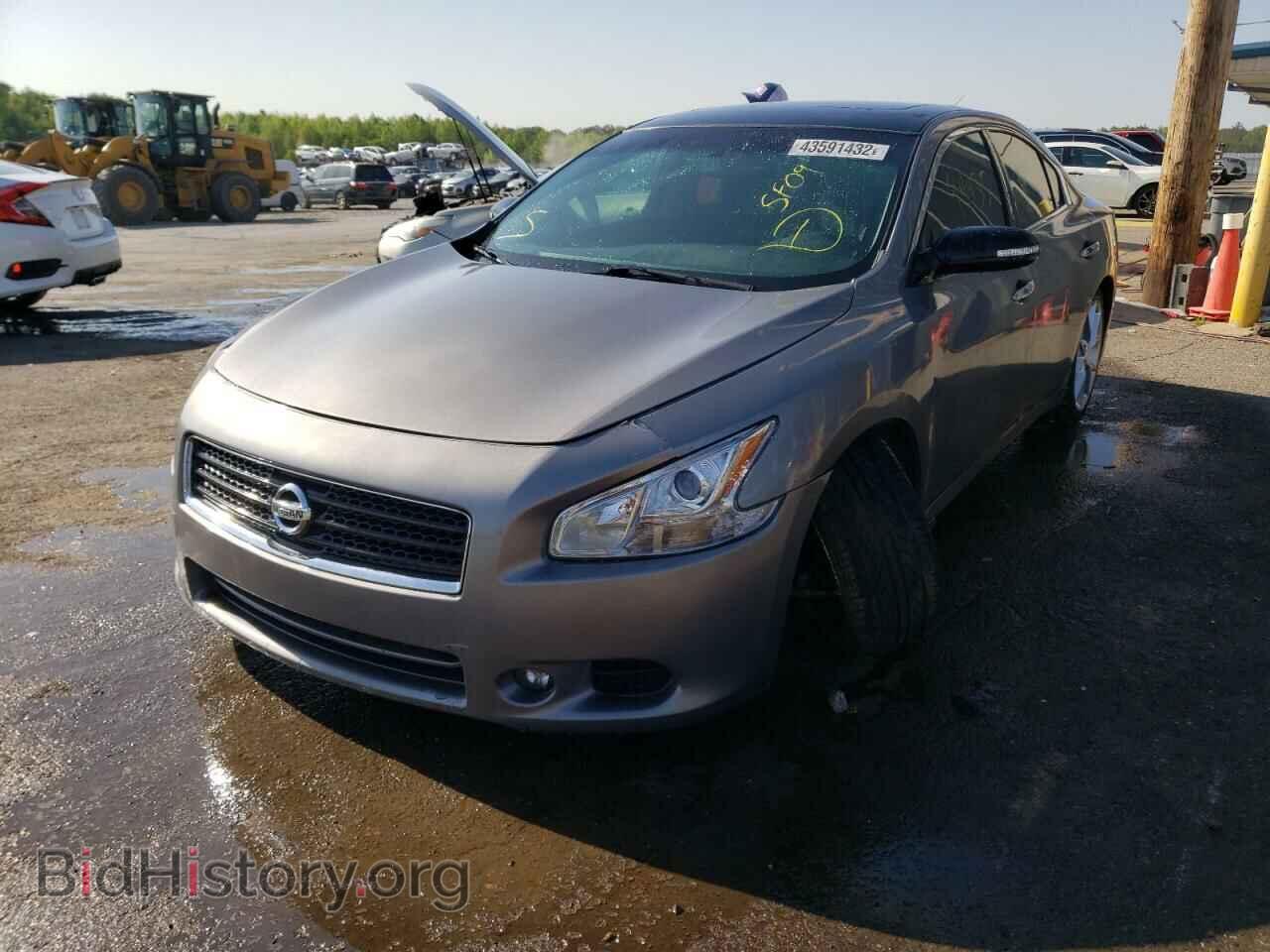 2009 NISSAN MAXIMA - VIN: 1N4AA51E99C845634 - Фото 2