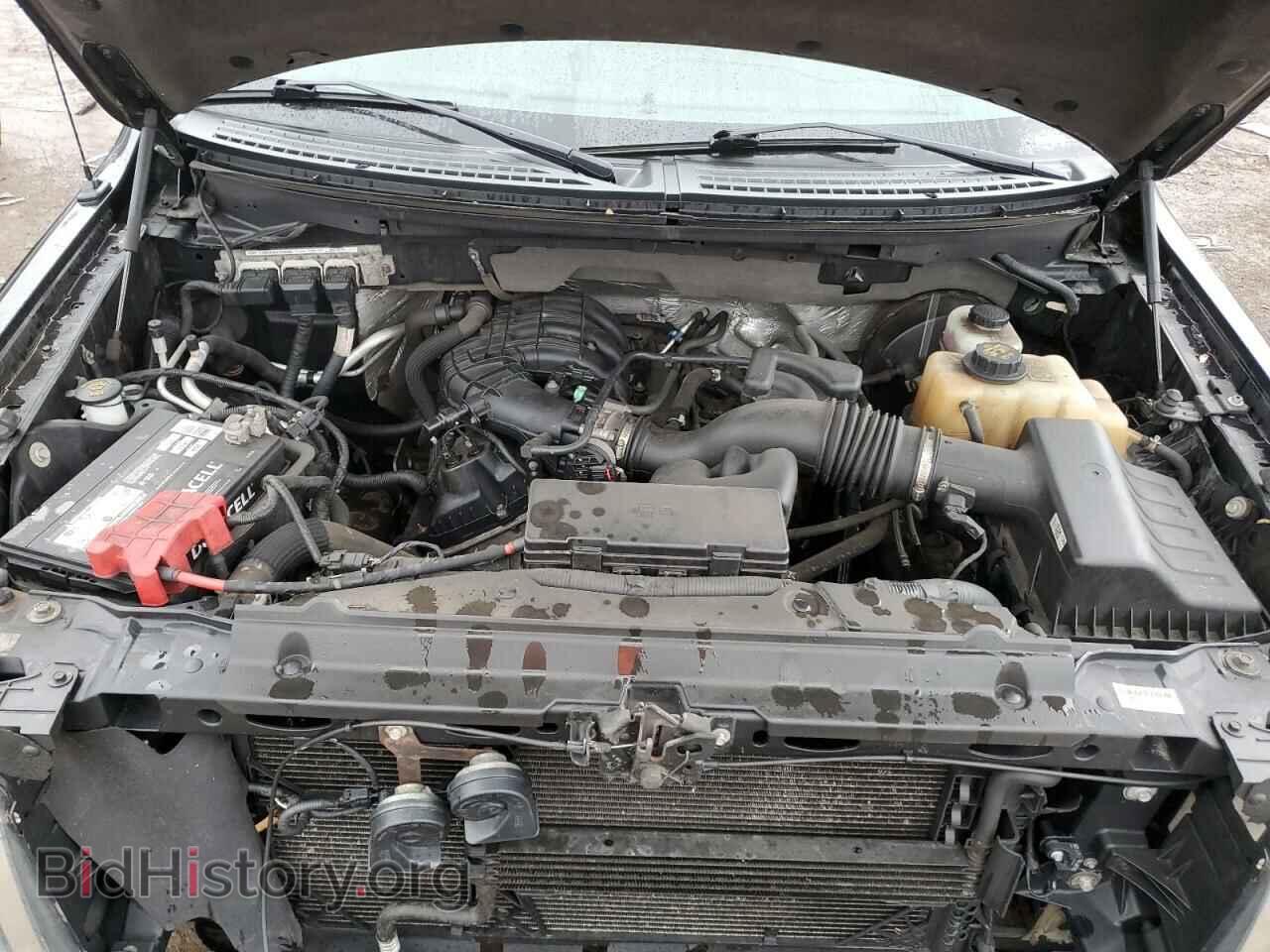 2013 FORD All Models - VIN: 1FTMF1CM9DFB18362 - Photo 11