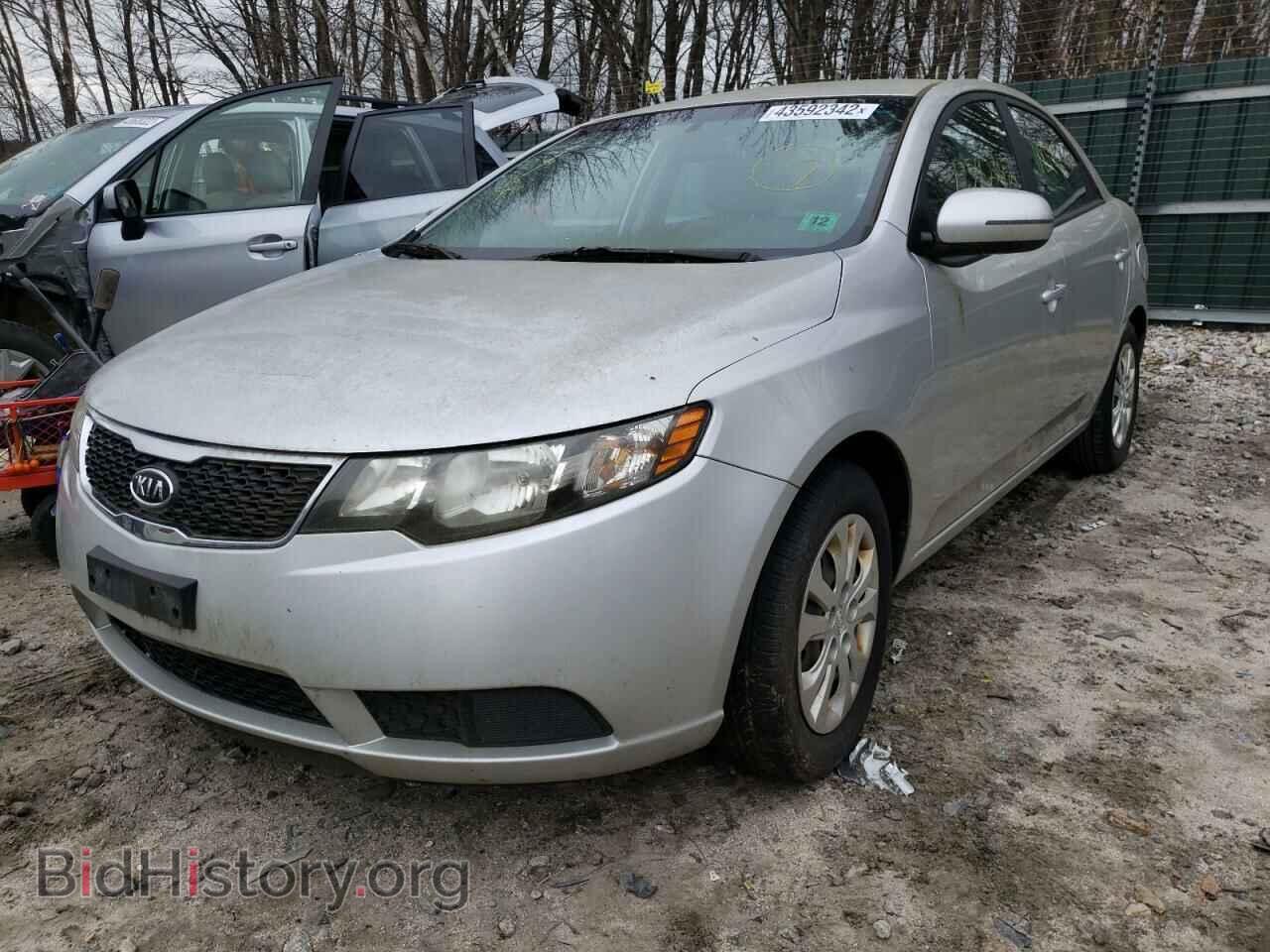 2012 KIA FORTE - VIN: KNAFU4A24C5554006 - Фото 2