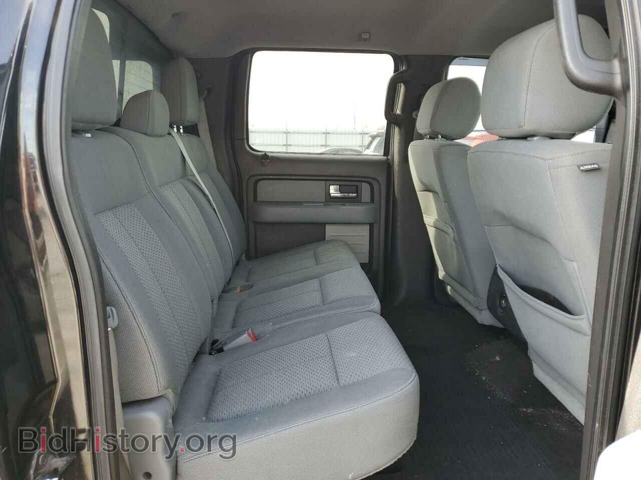 2013 FORD F-150 - VIN: 1FTFW1EFXDFC44169 - Фото 10