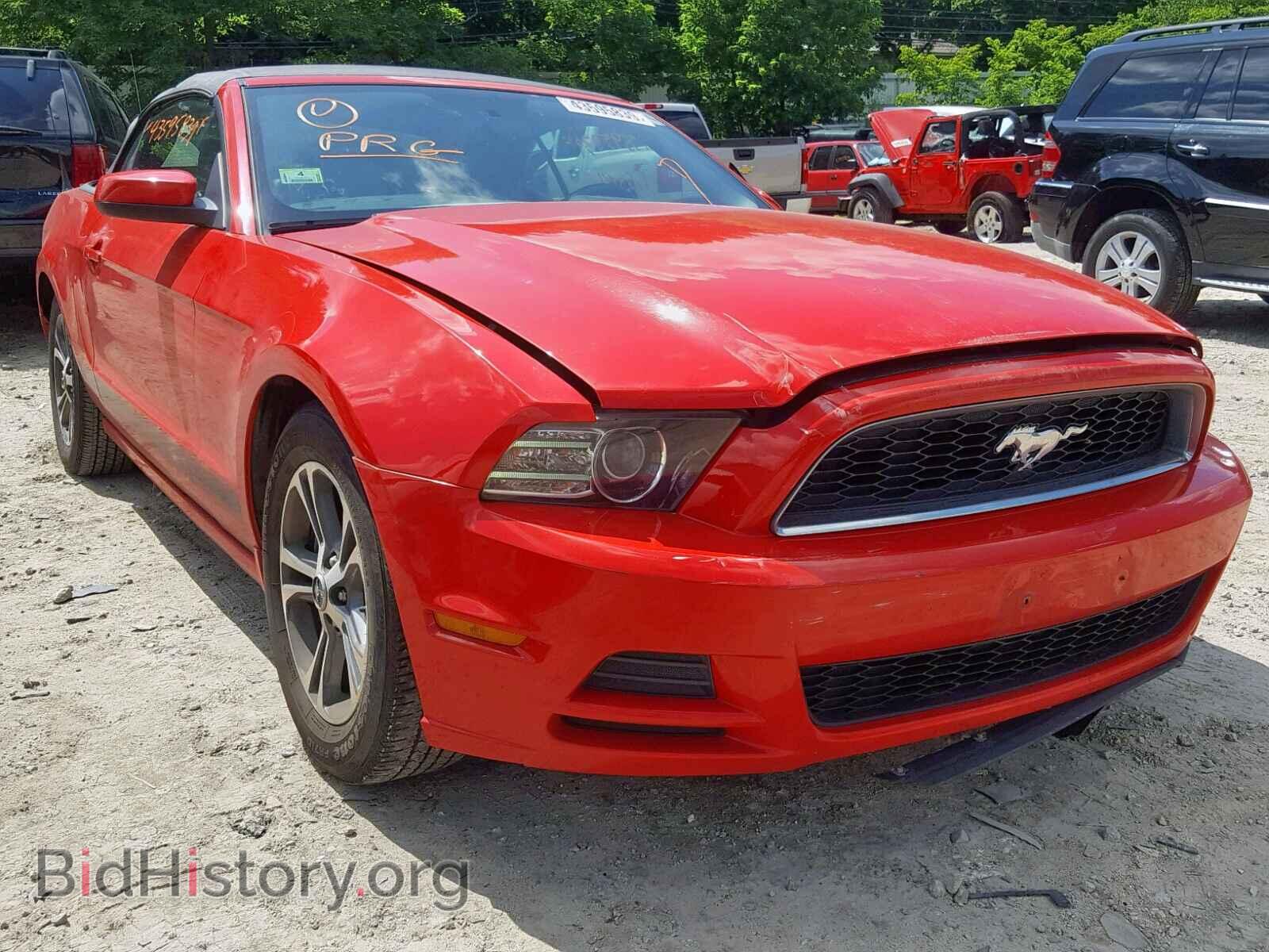 Фотография 1ZVBP8EM8D5239333 - FORD MUSTANG 2013