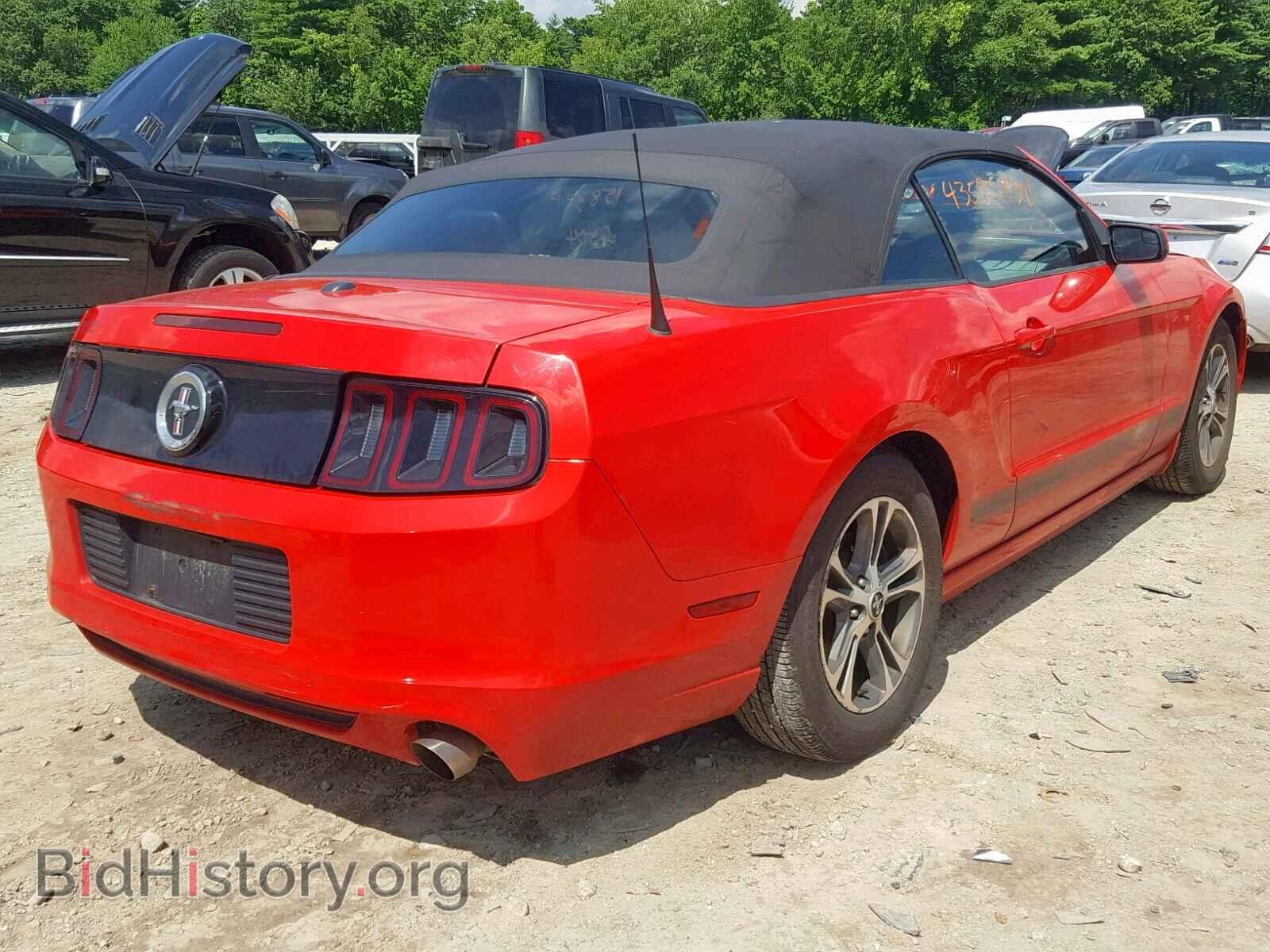 2013 FORD MUSTANG - VIN: 1ZVBP8EM8D5239333 - Фото 4