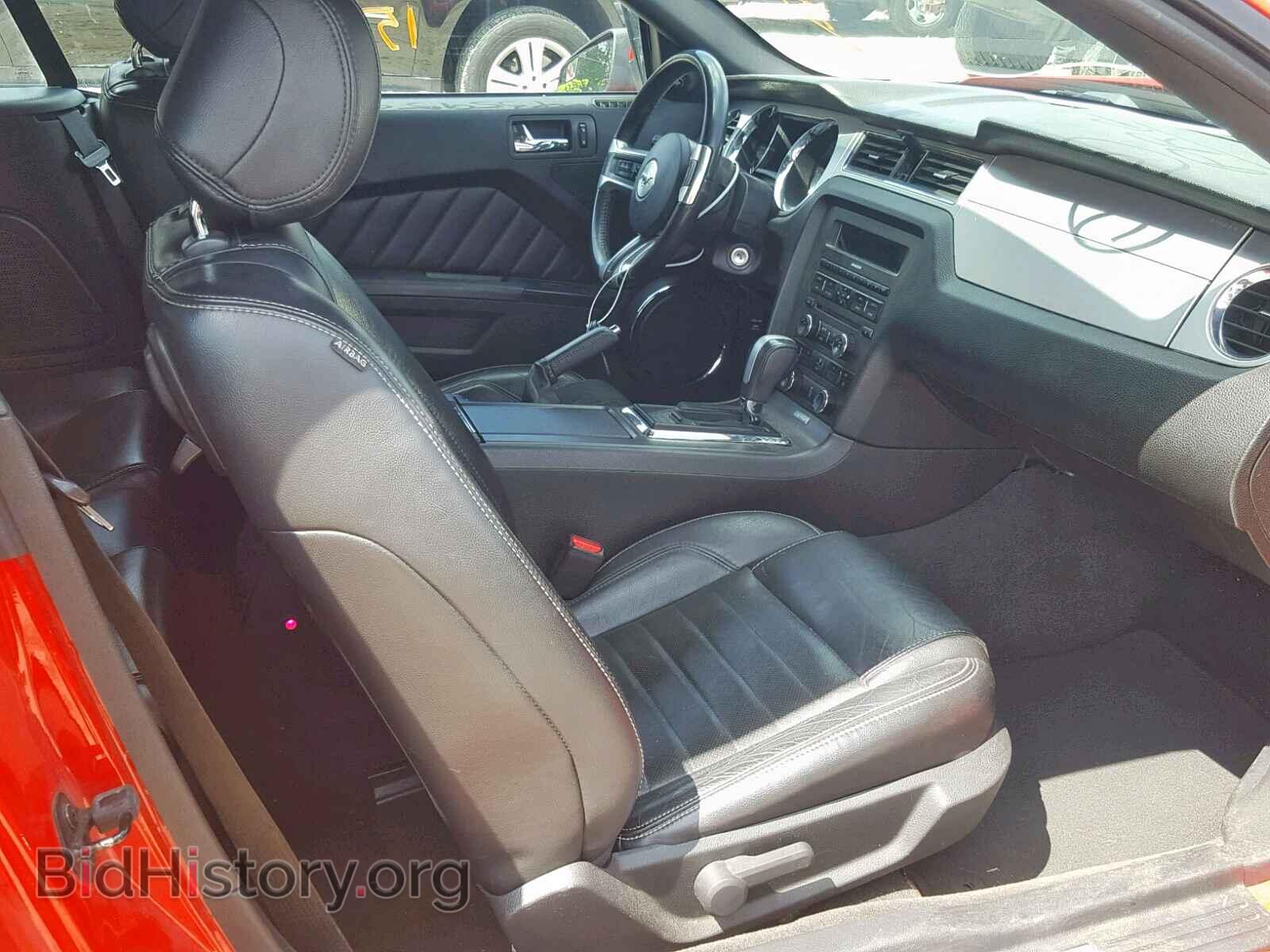 2013 FORD MUSTANG - VIN: 1ZVBP8EM8D5239333 - Фото 5