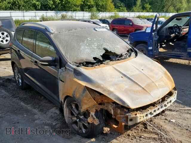 Фотография 1FMCU0JX1EUB97074 - FORD ESCAPE 2014
