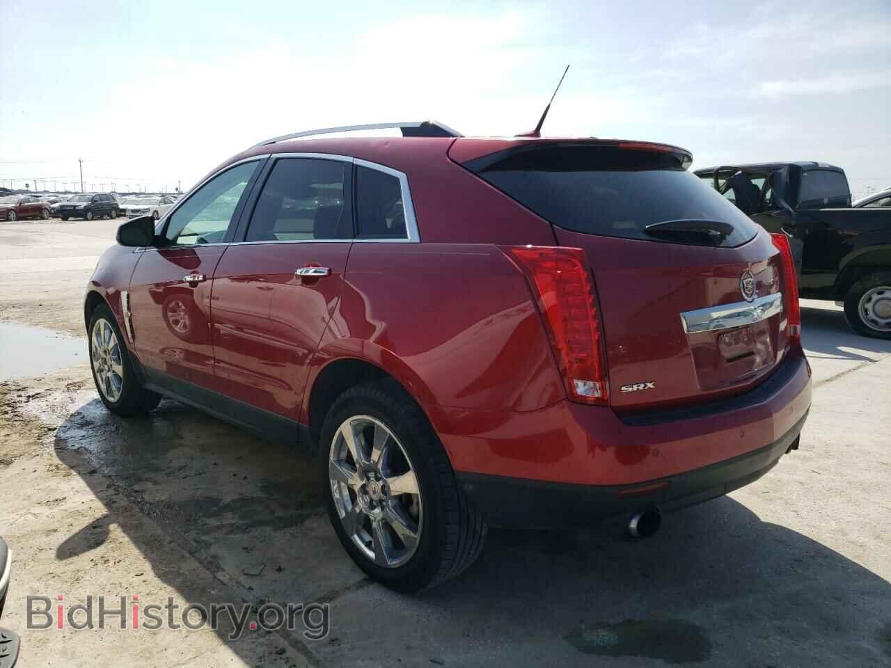 2011 CADILLAC SRX - VIN: 3GYFNBEY0BS558409 - Фото 2