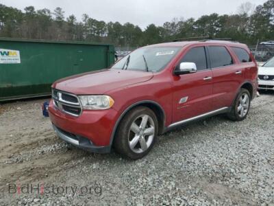 2011 Dodge DURANGO Citadel, красный — VIN 1D4SD5GTXBC663915, Copart