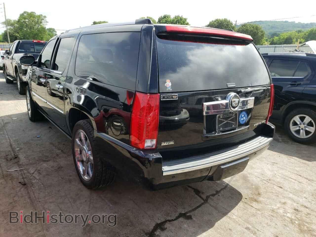 2010 CADILLAC ESCALADE - VIN: 1GYUKJEF9AR185087 - Фото 3