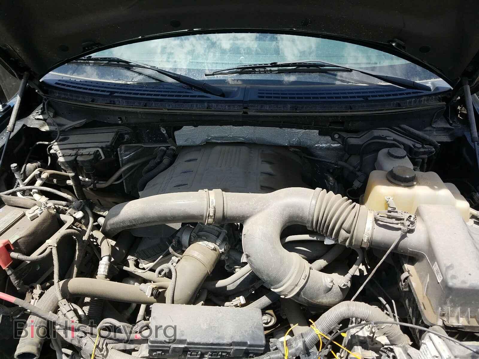 2013 FORD F150 - VIN: 1FTFX1ET1DFA71208 - Фото 7
