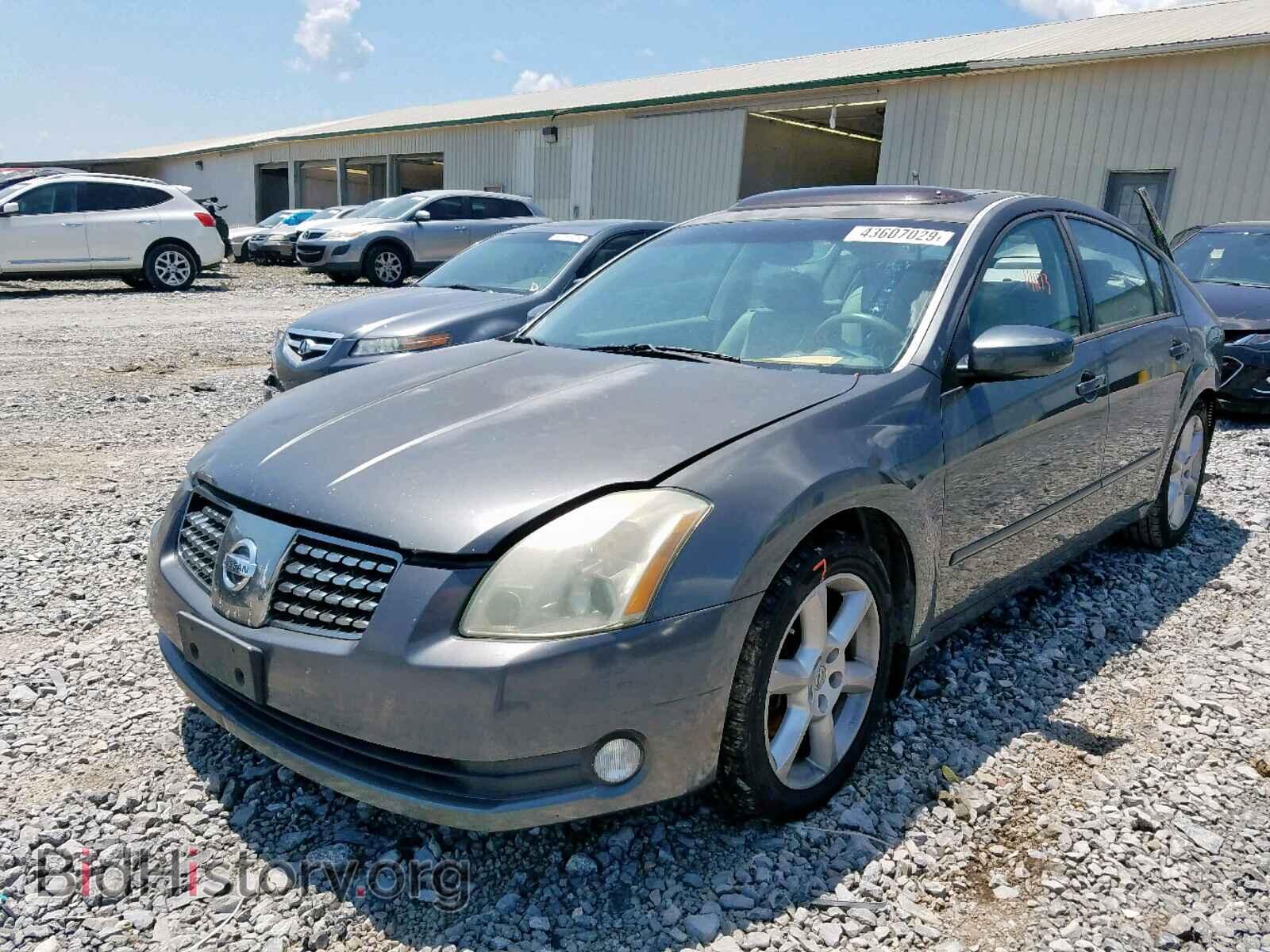 2005 NISSAN MAXIMA - VIN: 1N4BA41E05C868101 - Фото 2
