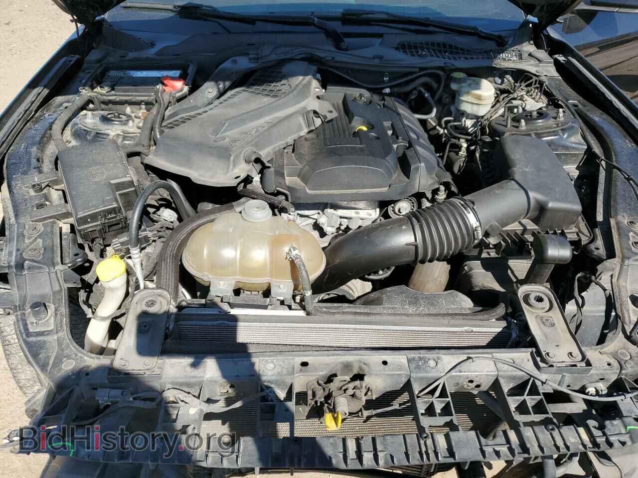 2017 FORD ALL Models - VIN: 1FA6P8TH7H5202280 - Photo 11