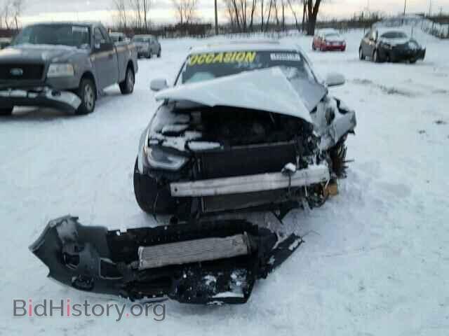 2013 AUDI A4 - VIN: WAUFFCFL6DN013868 - Фото 9