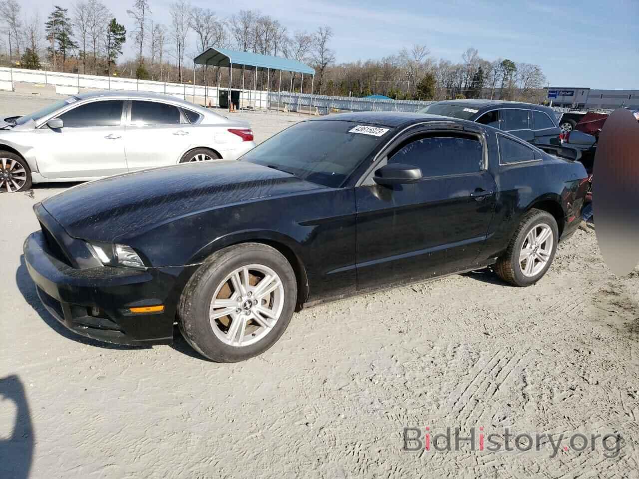 Photo 1ZVBP8AM4D5244390 - FORD MUSTANG 2013