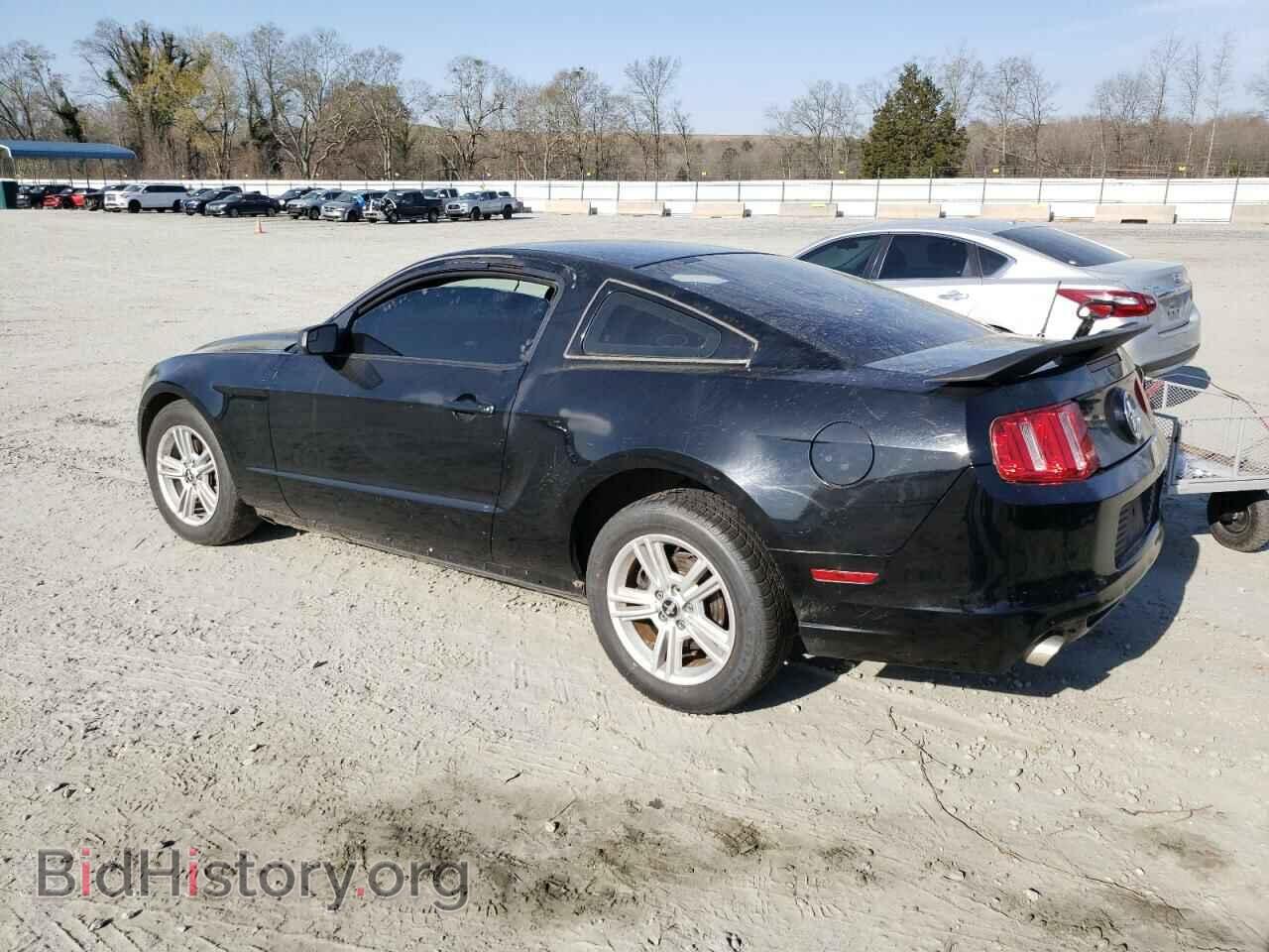 2013 FORD MUSTANG - VIN: 1ZVBP8AM4D5244390 - Фото 2